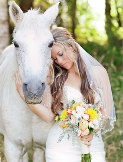 Weddings - Dreamland Ponies